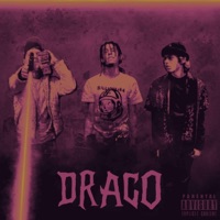 Draco (feat. Yrhbankrolljay & Allcash100) - Single - Vinc The Don