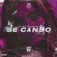 Se Cansó (feat. Luiv & A-Drian) - Single - Zlon