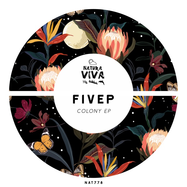 Colony - EP