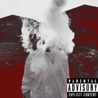 Flex - Single - steen