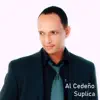 Al Cedeño - El alfarero