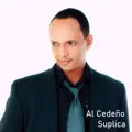 Alfarero