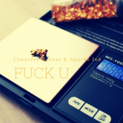 Fuck U (feat. Apache Ink) - Single