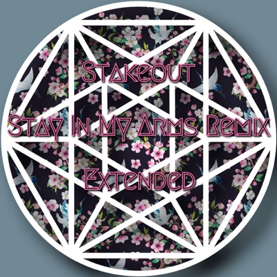 Stay In My Arms (TikTok Remix Extended Version) [TikTok Remix Extended Version] - Single