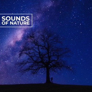 Sounds of Nature