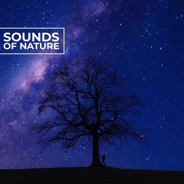 Sounds of Nature