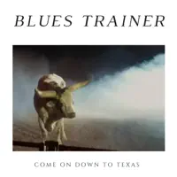 What Have I Got to Lose — Blues Trainer
