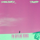 Tampa (FM Skyline Remix) [Extended] artwork
