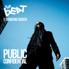 Public Confidential - The Beat feat. Ranking Roger