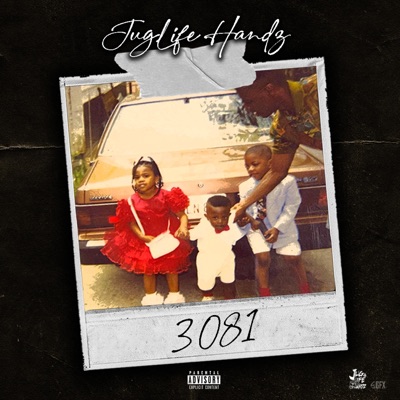 3081