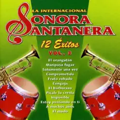 12 Éxitos la Internacional Sonora Santanera, Vol. 3 - La Sonora Santanera