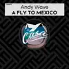 Stream & download A Fly to Mexico - Single