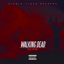 Big Husk - Walking Dead