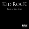 Kid Rock - All Summer Long artwork