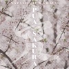 Natalie Ai Kamauu - Pua Sakura