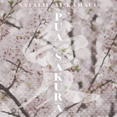 Pua Sakura artwork