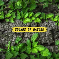 Clean Rain Water (Waves) - Single - Sounds of Nature