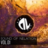 Sound of Nelation Vol.01, 2018