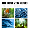 The Best Zen Music: Birds, Rain, Forest, Waves - Music to Help You Relax & Meditate, Sounds of Nature for Yoga, Sleep, Your Mind and Your Soul - Zen Spa Music Experts