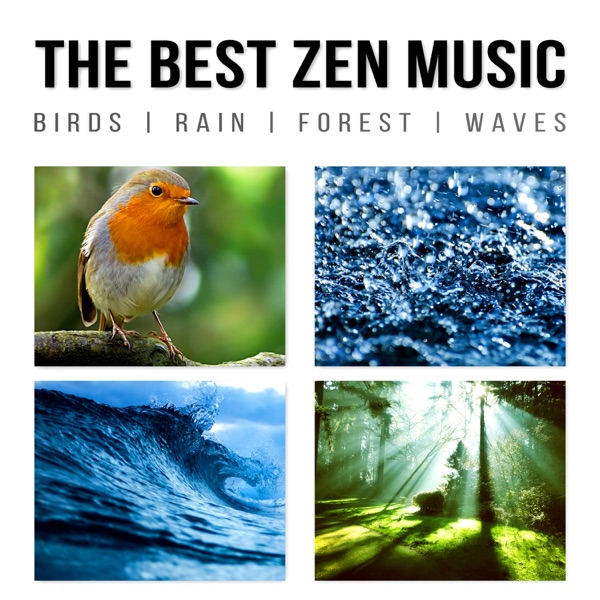 The Best Zen Music: Birds, Rain, Forest, Waves - Music to Help You Relax & Meditate, Sounds of Nature for Yoga, Sleep, Your Mind and Your Soul