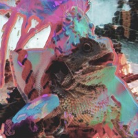 Toad Witch (feat. Slime Da Garbage Mane) - Single - Bigg Sluggathor