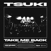 Take Me Back (feat. Aleya Mae) artwork