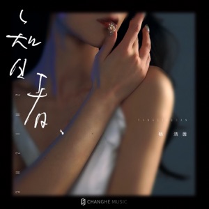智者 - Single
