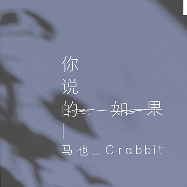你说的如果 - Single