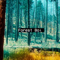 Forest Boi (feat. Migullityo) - Single - SummersToCold