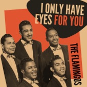 I Only Have Eyes for You by The Flamingos