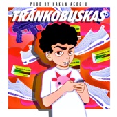 Trankobuskas artwork