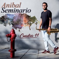 Cuadra 11 - Anibal Seminario