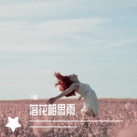 落花相思雨 - Single - 九歌