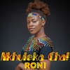 Nkhuleka Cha! - Single