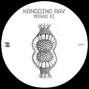 Monad XI - EP
