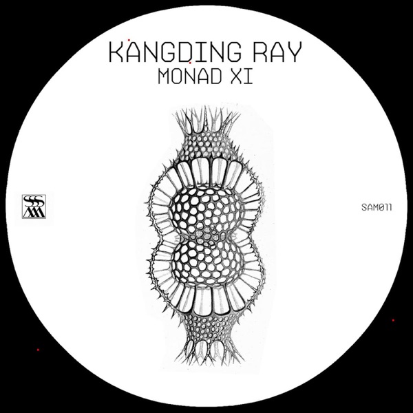 Monad XI - EP