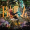 Samy Thiébault - Baila