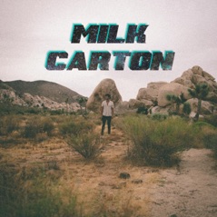 Milk Carton - Single