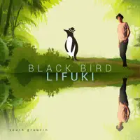 Blackbird — Lifuki