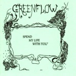 i got by Greenflow