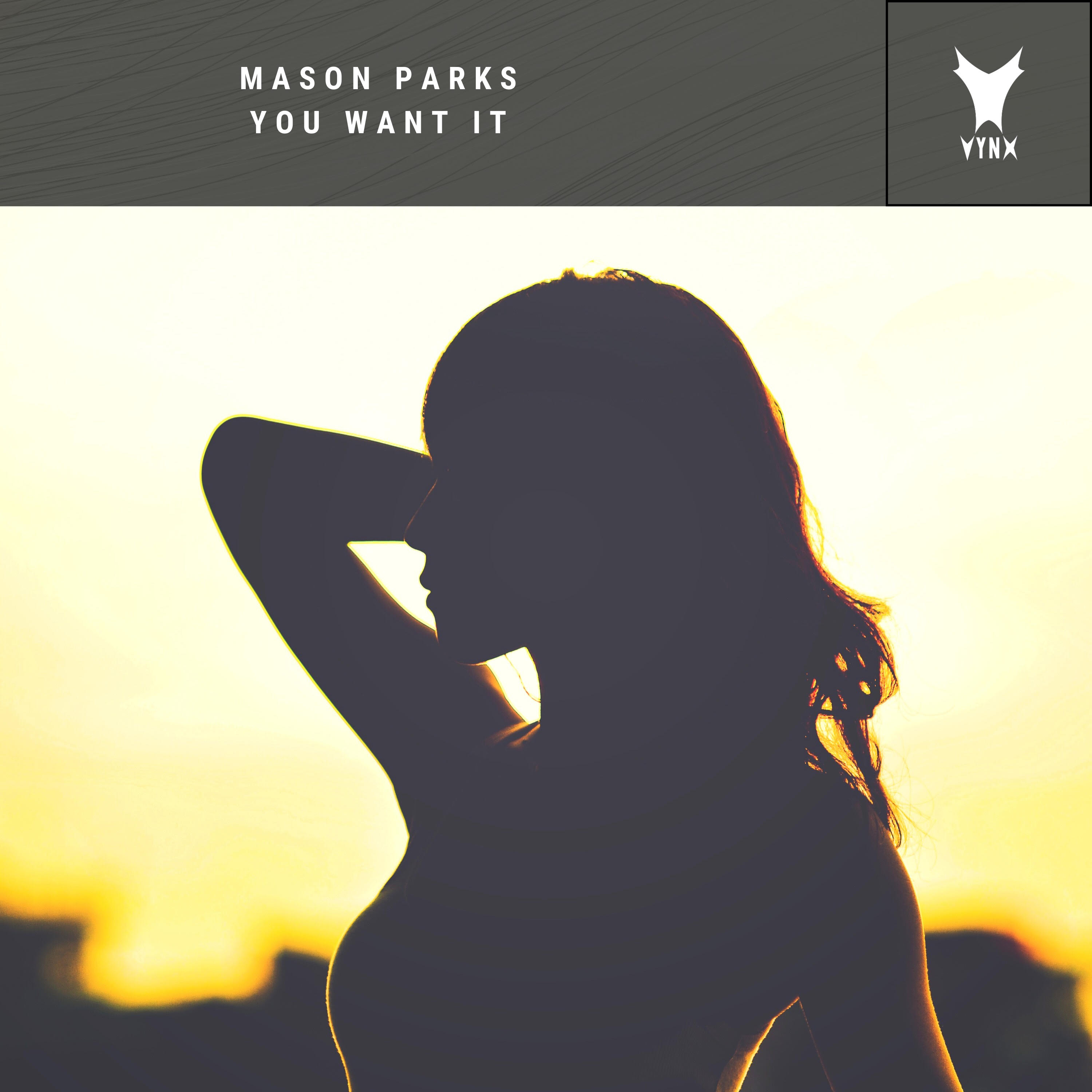 You Want It - Single