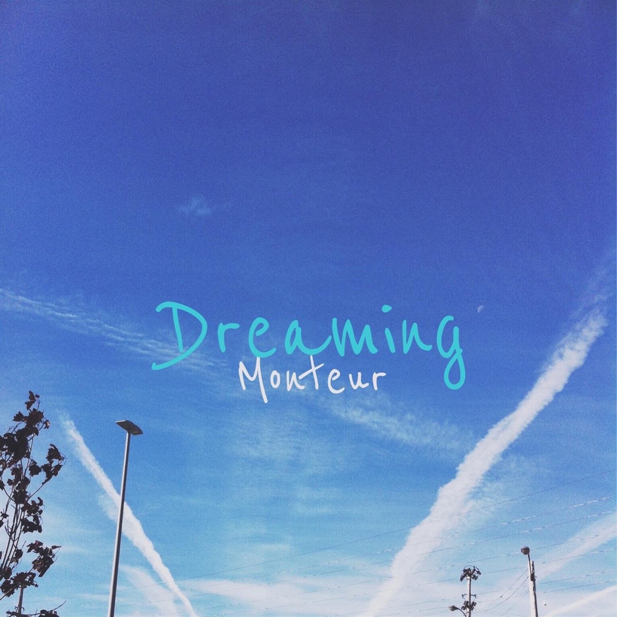 Dreaming single