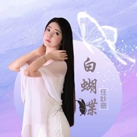 白蝴蝶 - Single - 任妙音