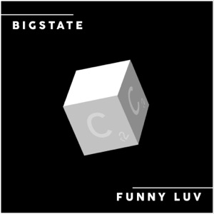 Funny Luv - Single
