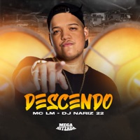 Descendo - Single - Mc Lm & Dj Nariz 22