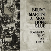 Somebody That You Loved - Single - Bruno Martini & New Hope Club