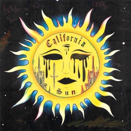 California Sun Teddy