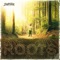 Roots - Zoobstool lyrics