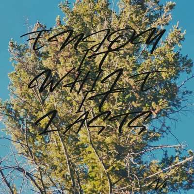 Enjoy It While It Lasts - Single