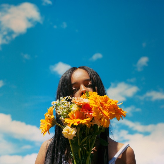 Cover artwork for Sister